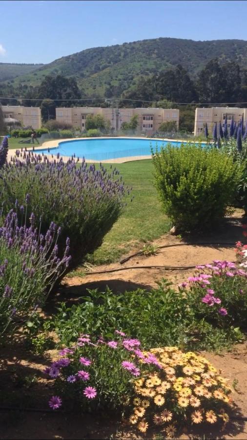 Haydee Lomas De Papudo IV Διαμέρισμα Εξωτερικό φωτογραφία